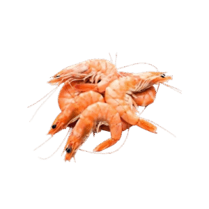 Prawns (Fresh or Frozen)